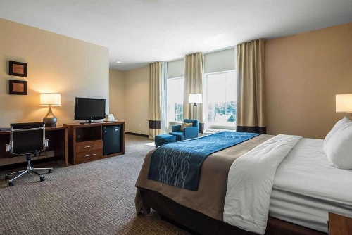 Comfort Inn Apalachin / Binghamton W Route 17 image 10