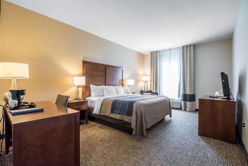 Comfort Inn Apalachin / Binghamton W Route 17 image 11