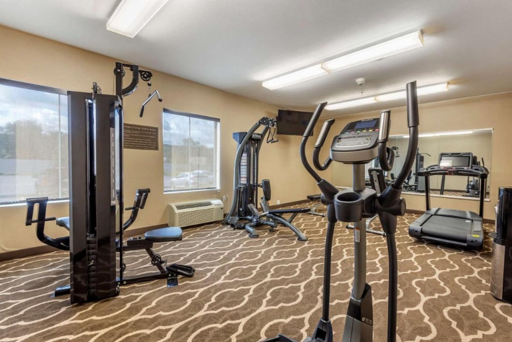 Comfort Inn Apalachin / Binghamton W Route 17 Image 25