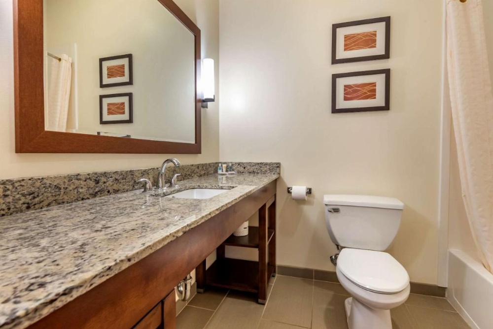 Comfort Inn Apalachin / Binghamton W Route 17 Image 26