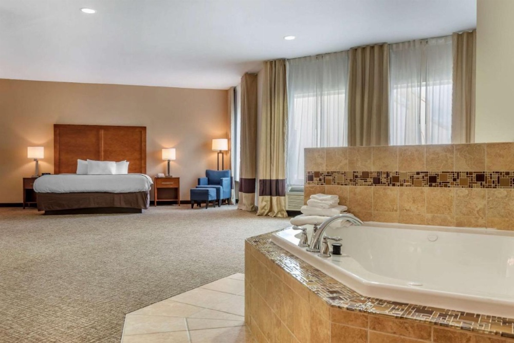 Comfort Inn Apalachin / Binghamton W Route 17 Image 27