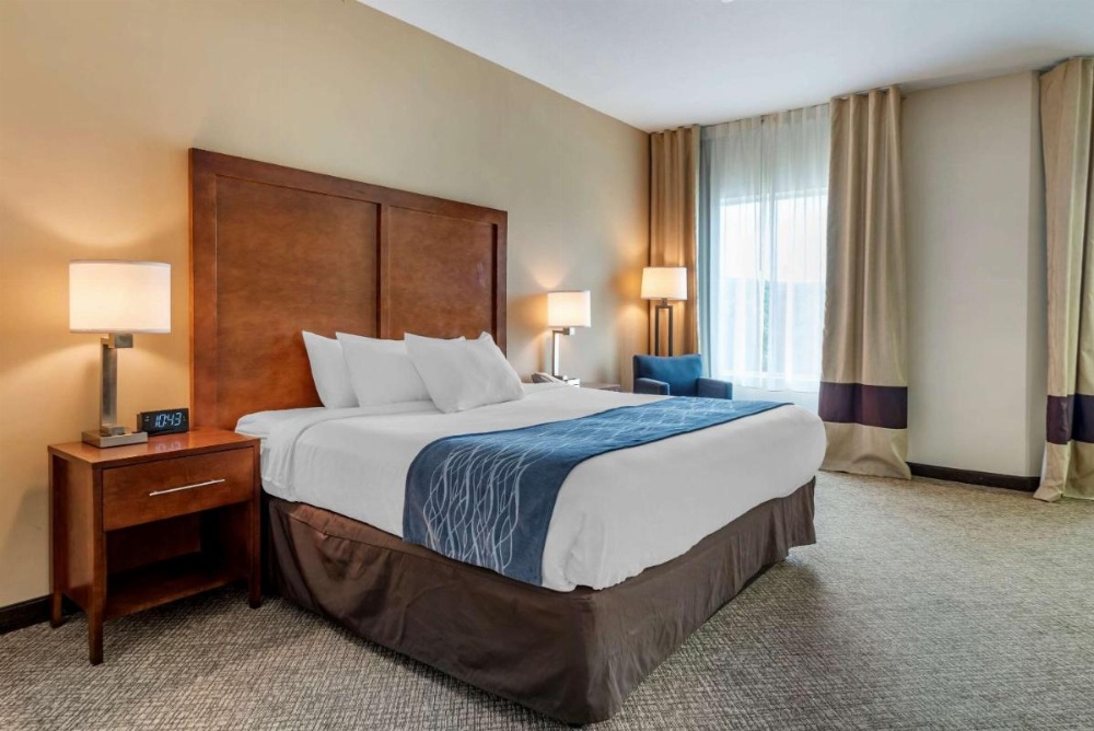 Comfort Inn Apalachin / Binghamton W Route 17 Image 29