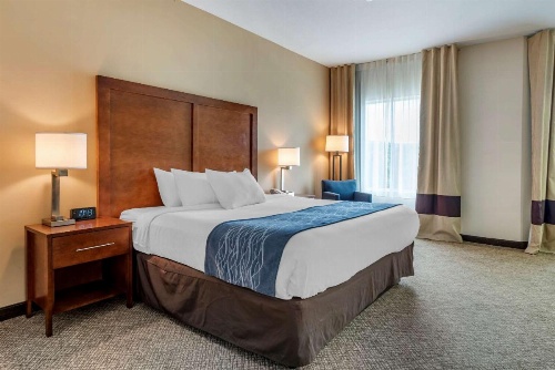 Comfort Inn Apalachin / Binghamton W Route 17 image 29