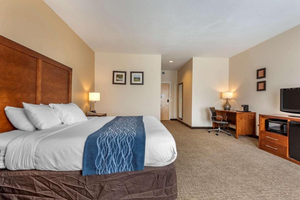 Comfort Inn Apalachin / Binghamton W Route 17 Image 30