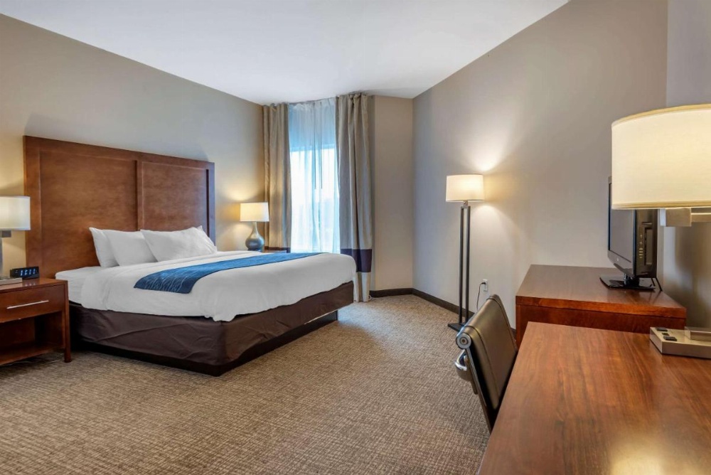 Comfort Inn Apalachin / Binghamton W Route 17 Image 39