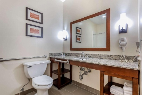 Comfort Inn Apalachin / Binghamton W Route 17 image 40