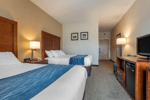 Comfort Inn Apalachin / Binghamton W Route 17 image 41