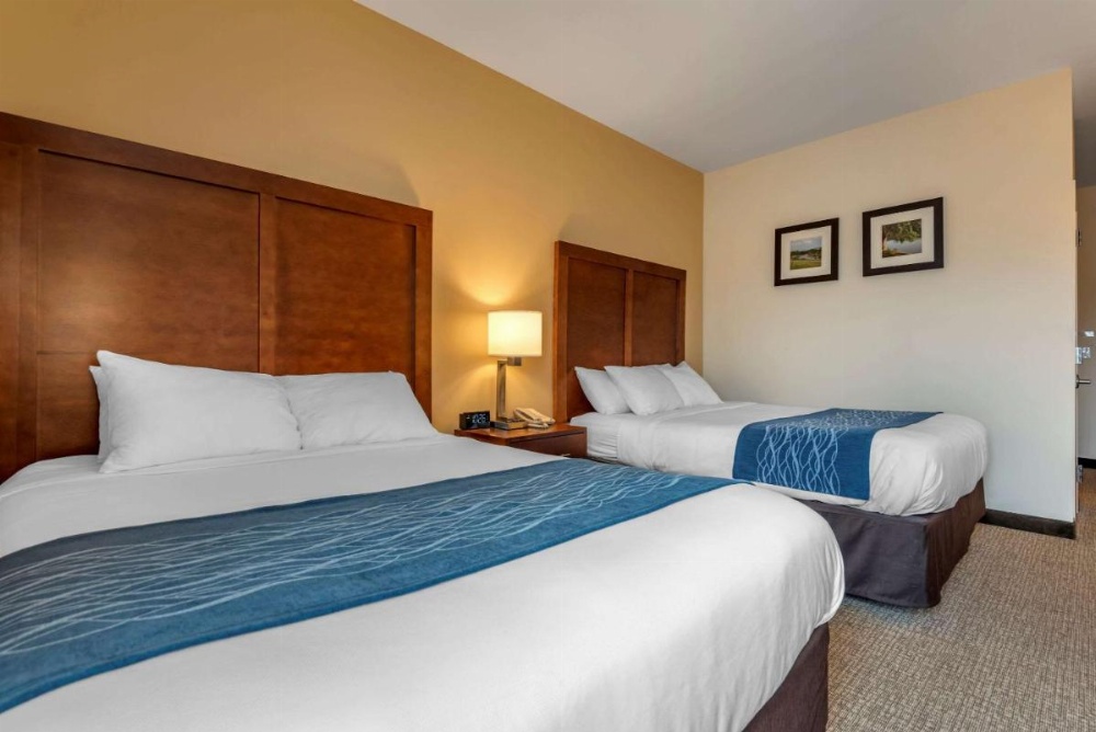Comfort Inn Apalachin / Binghamton W Route 17 Image 42