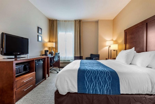 Comfort Inn Apalachin / Binghamton W Route 17 image 47